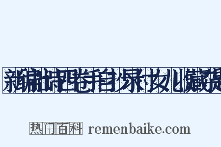 新编拙诗四卷手自抄录付女儿收藏杂题是什么意思的图片